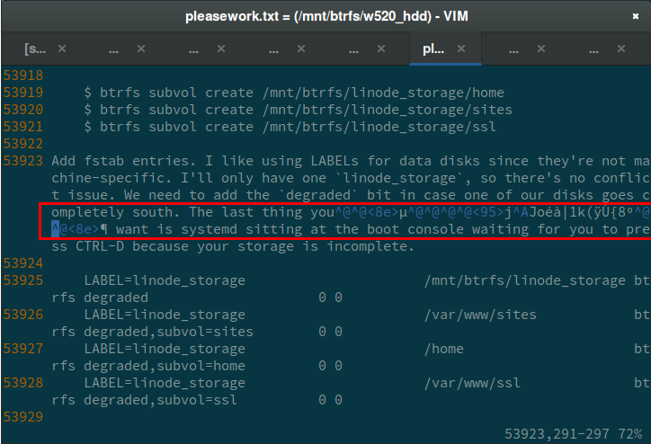 &ldquo;Screenshot of Corrupted Data&rdquo;